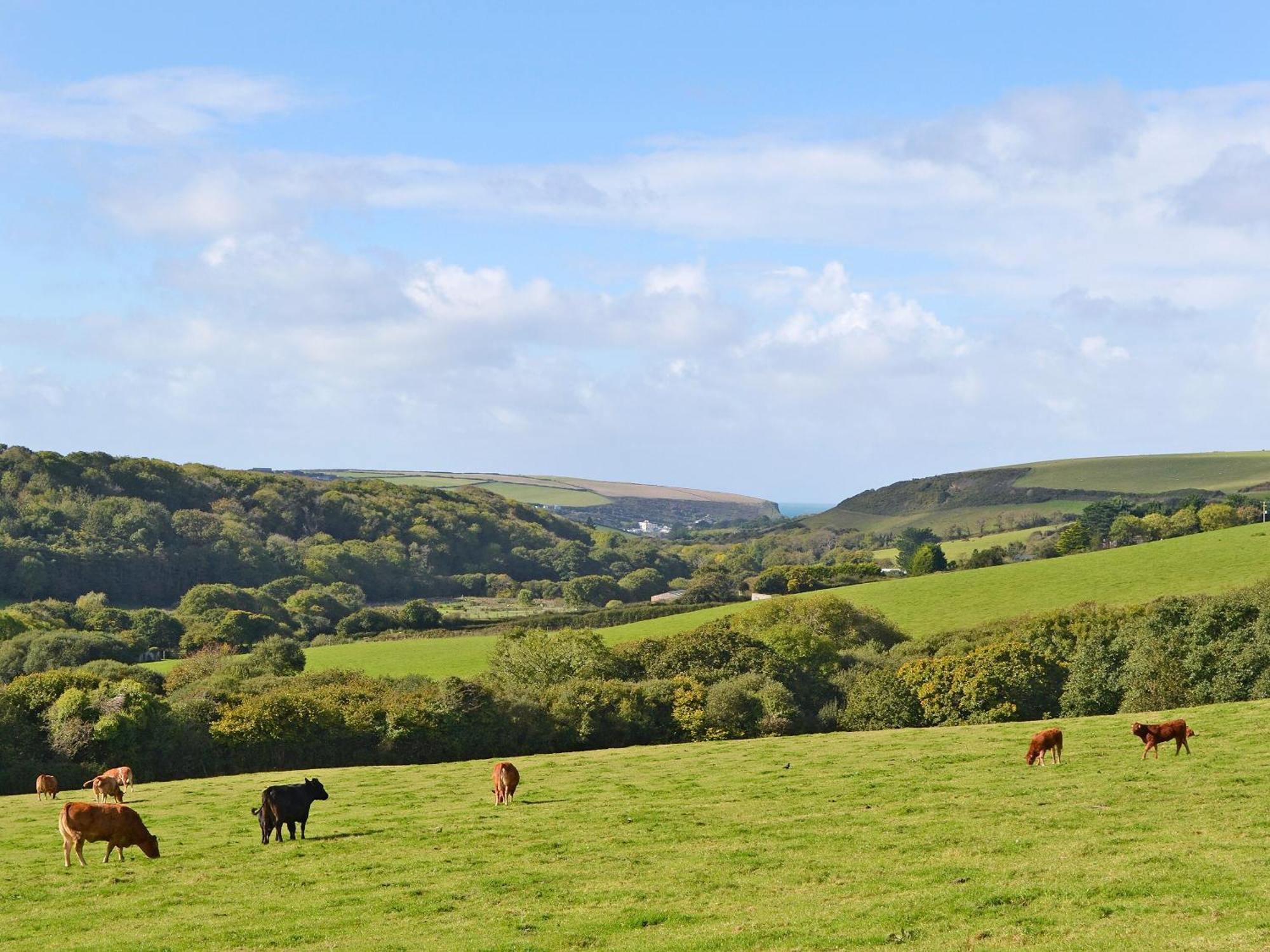 Merlin View St Mawgan Zewnętrze zdjęcie